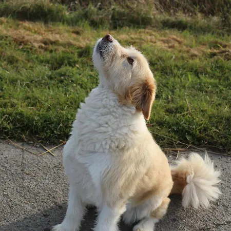 Reetkate Kaltenhoern Apartment *