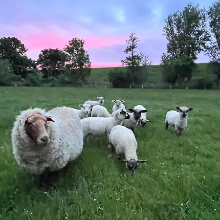 Reetkate Kaltenhoern Apartment